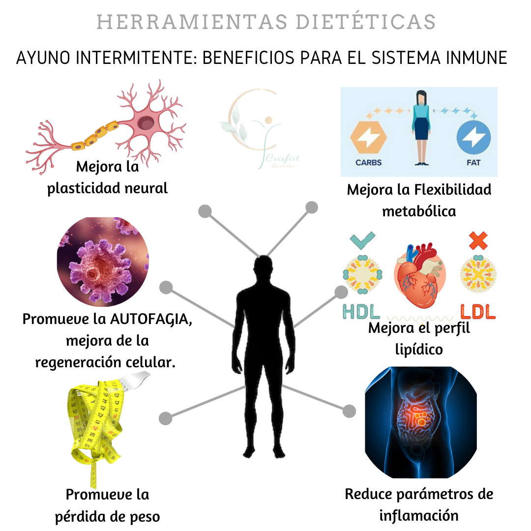 Ayuno intermitente y sistema inmune