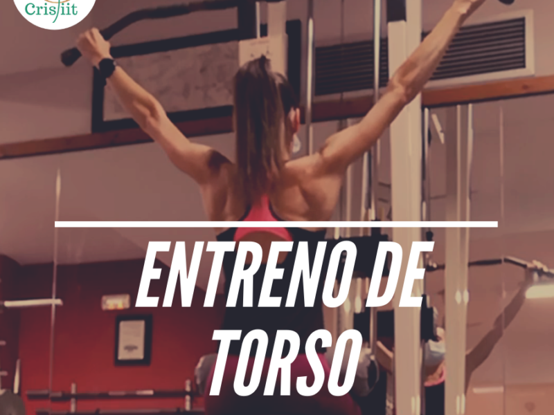 Entreno de torso