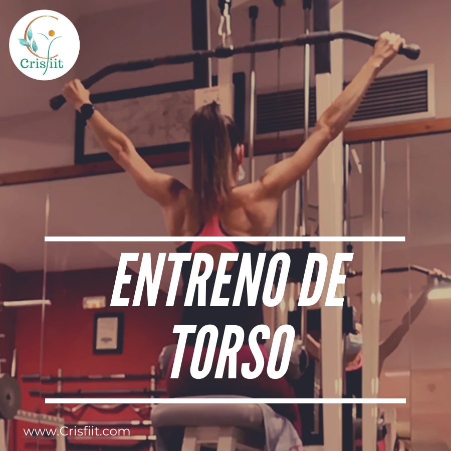 Entreno de torso